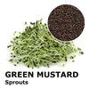Sprouting seeds - Green mustard Snack