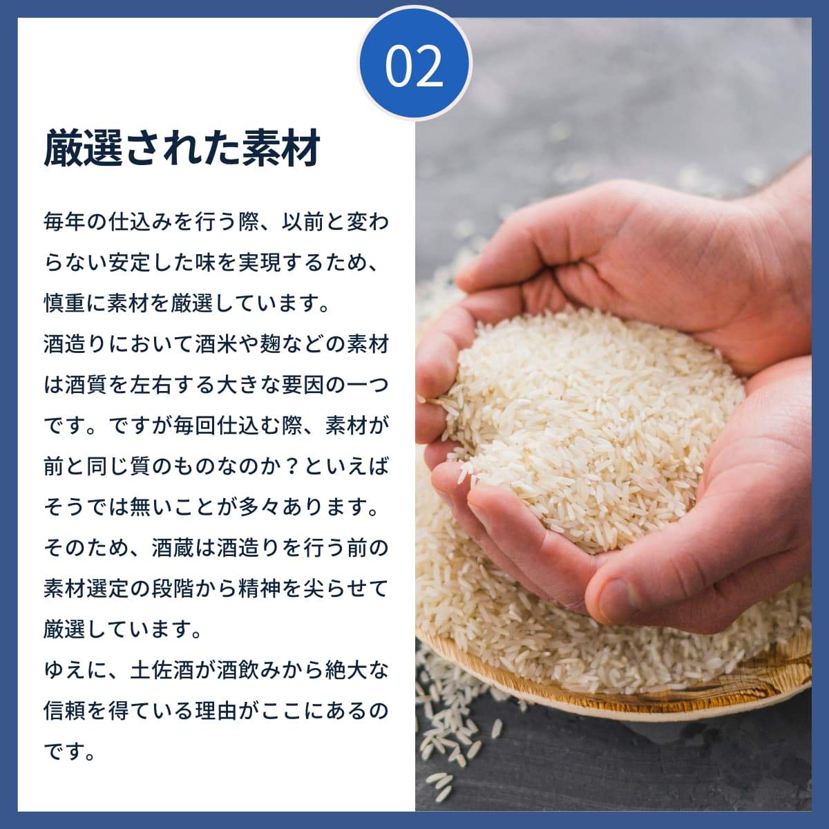 87％以上節約 ふるさと納税 A-119 純米吟醸原酒 CEL-24 1800ml 生酒 お酒 酒 さけ 日本酒 飲みやすい 女性 甘口 純米酒 亀泉  故郷納税 ふるさとの.. 高知県土佐市