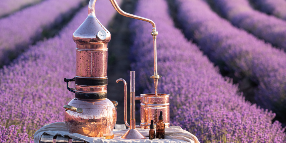 How is lavender oil made