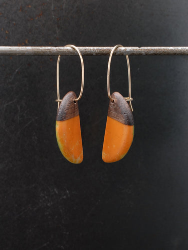 PACIFIC HORNS - Walnut Wood Earrings with Multi Colored Resin Banding –  Eastwood