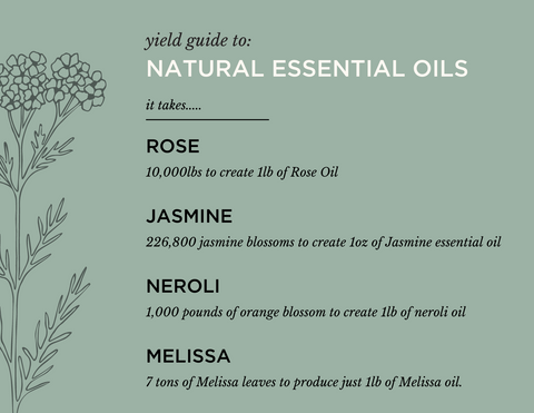 Yield of flower and materials to create essential oils