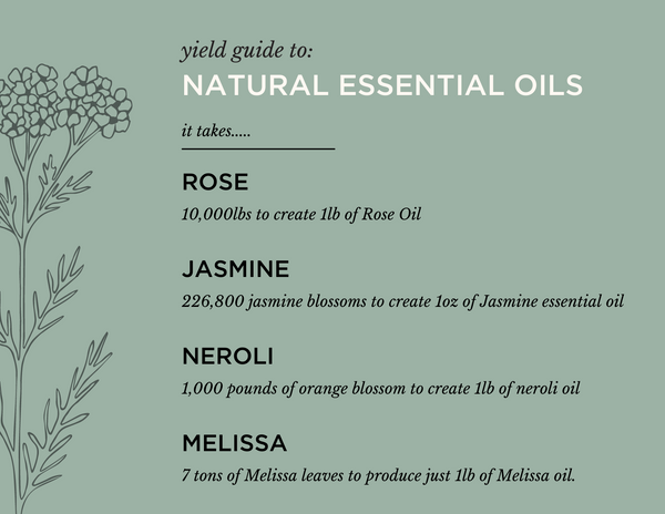 Yield of Plant Material to Natural Essential Oils