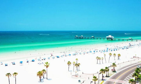 Panoramic view of Clearwater, Florida beach with palm trees, lines of beach chairs, and bright blue water