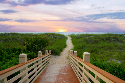 Path lined by green grass leading out to the ocean with a pink and purple sunset on the horizon in Hilton Head, South Carolina