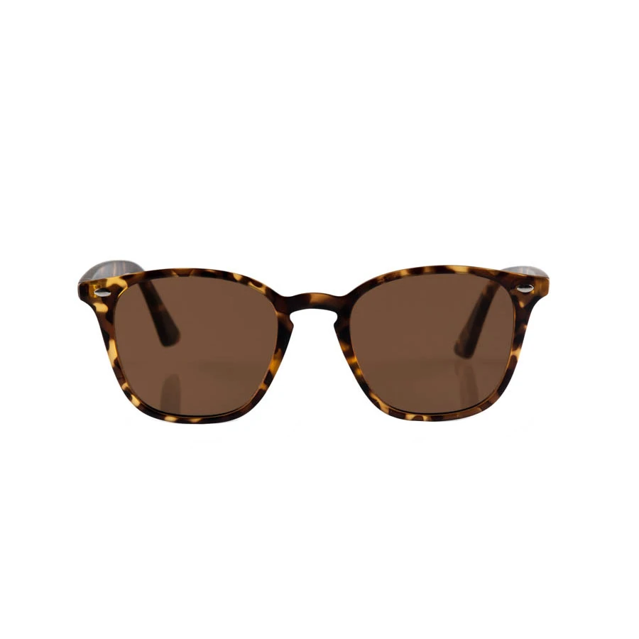 Reality Eyewear The Chelsea Matte Turtle