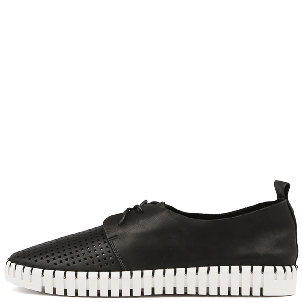 Django & Juliette Huston Black Leather