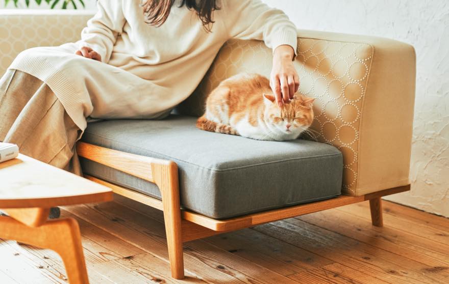Luu Sofa cat life model【minä perhonen】 | オーク/ウォルナット無垢材_座り心地