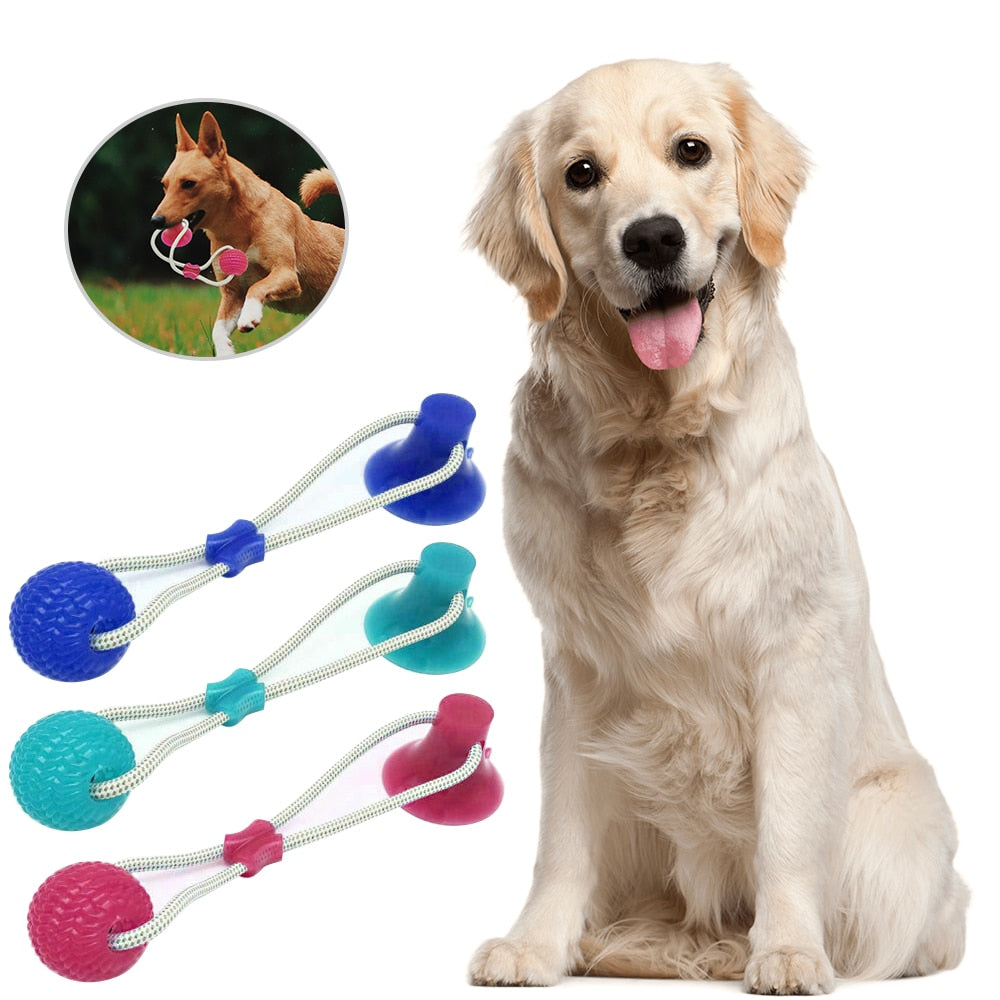 suction cup tug of war for dogs