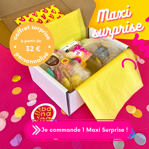 Maxi surprise - Maitre·sse / Atsem / Nounou