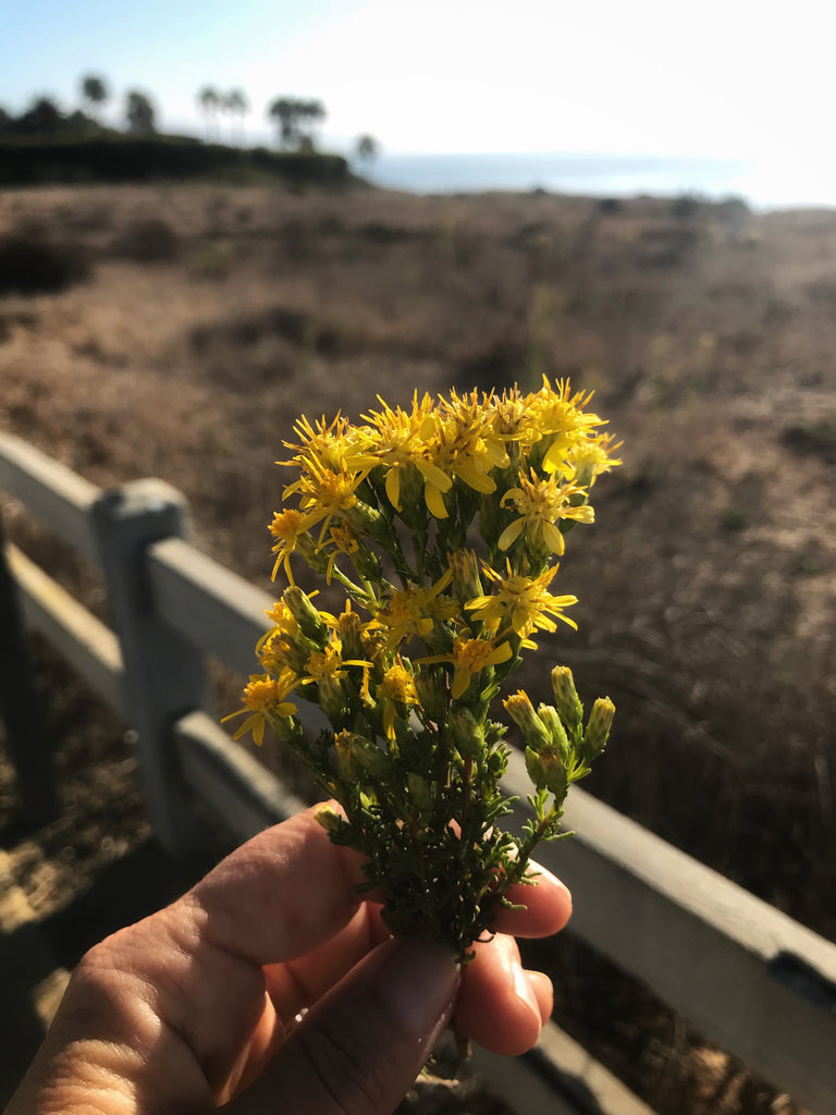 Heather Gardner Jewelry Malibu Fall Weather at Point Dume