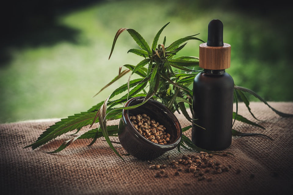 Cannabis May Reduce Deadly COVID-19 Lung Inflammation: Researchers Explain Why