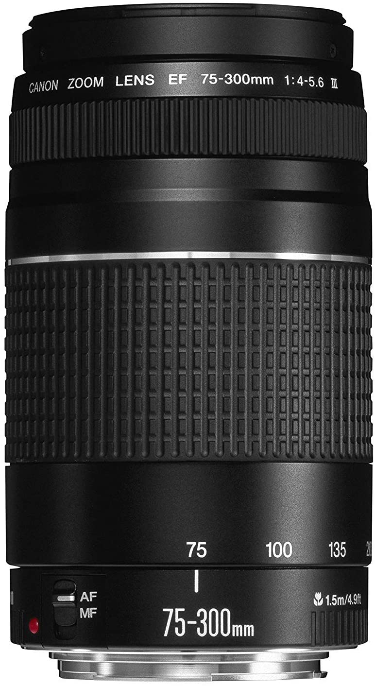 Canon Ef 75 300mm F 4 5 6 Iii Telephoto Zoom Lens For Canon Slr Camera S A Camera Land