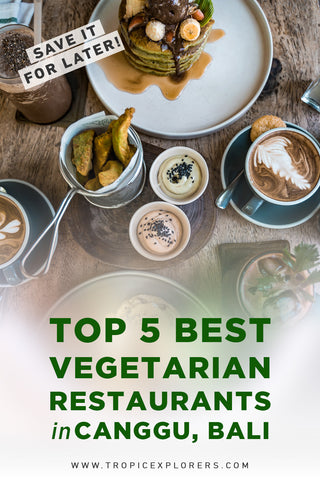 Top 5 Best Vegetarian Restaurants in Canggu Bali - The Avocado Factory - Tropicexplorers