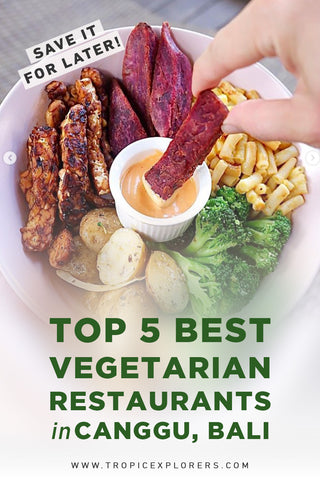 Top 5 Best Vegetarian Restaurants in Canggu Bali - The Sloth - Tropicexplorers