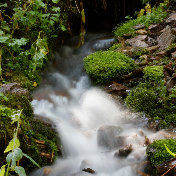 ISUN Ormus Mountain Spring Water for Ormus Myst Mist