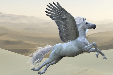 Real pegasus