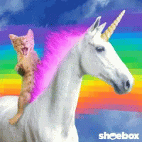 unicorn cat gif