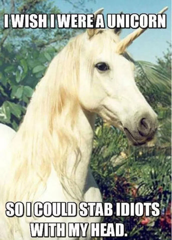 i wish i was a unicorn meme