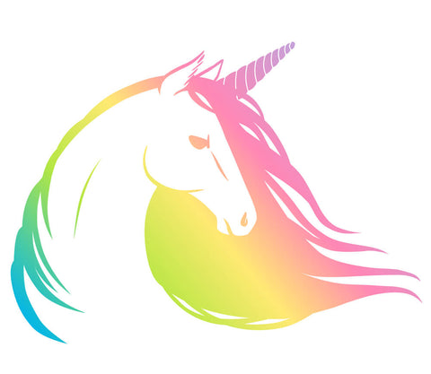 Rainbow Unicorn