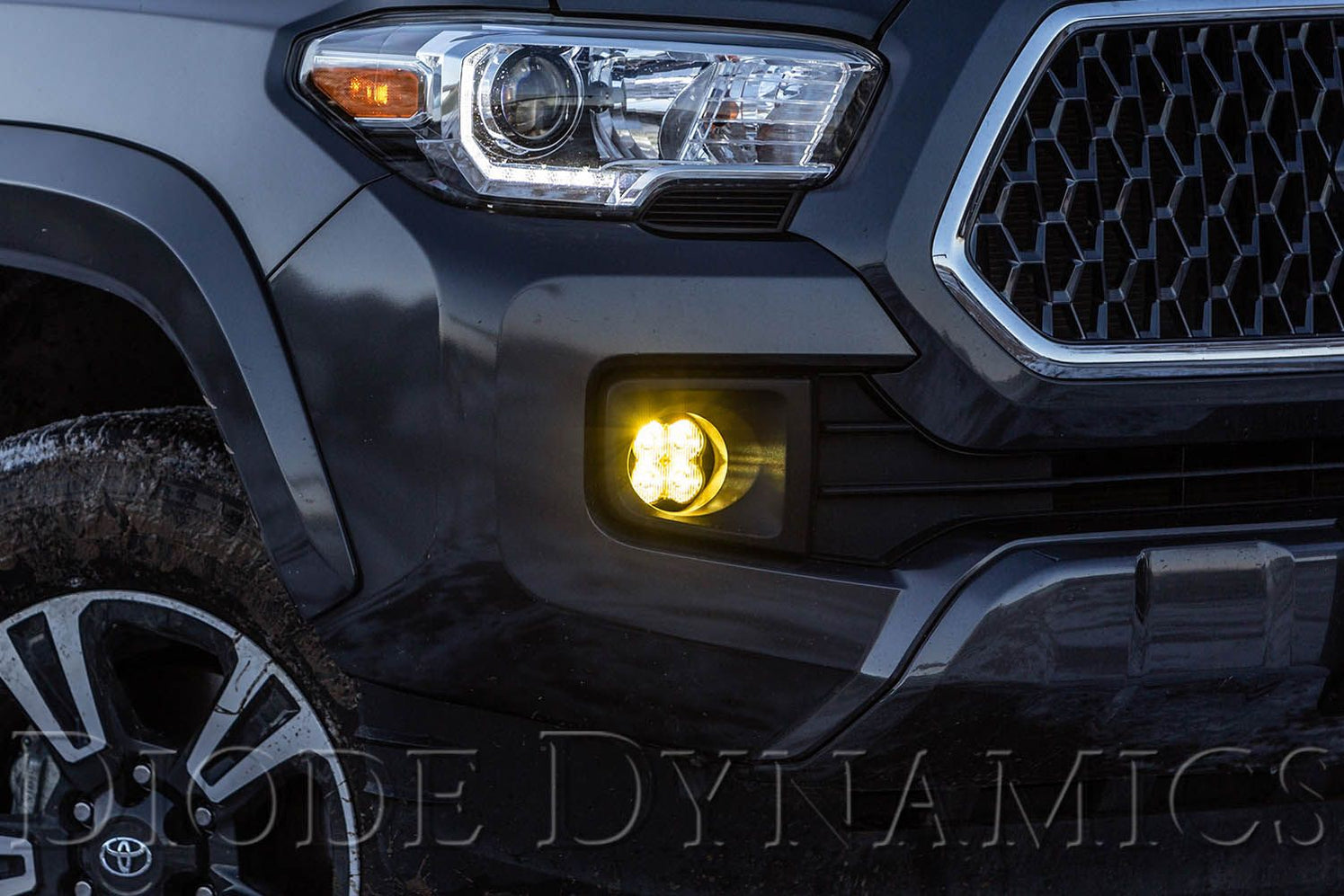 FOG LIGHTS — Lifestyle