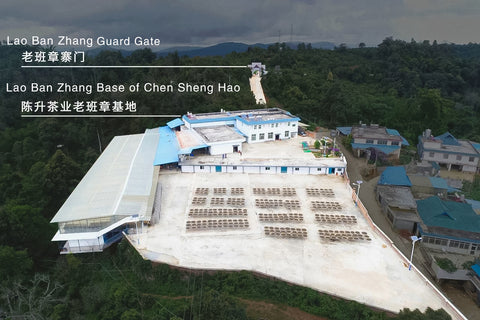 Lao Ban Zhang Base from Chen Sheng Hao