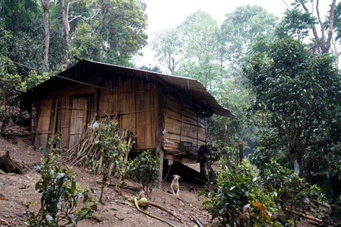 Old house from Chen Sheng Hao Naka villiage