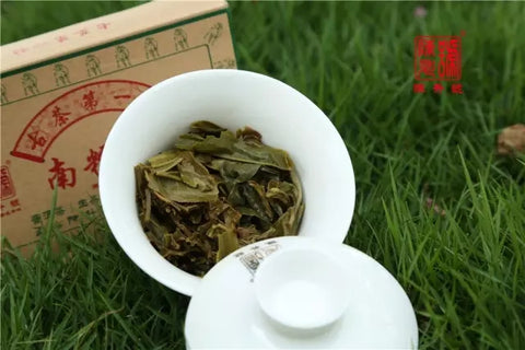 Steeped sheng puerh tea leaves from Chen Sheng Hao