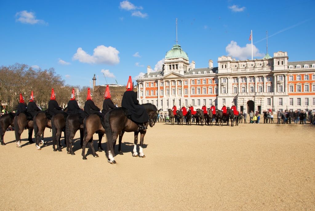 Buckingham palace with guards, used as a metaphor for our immune system