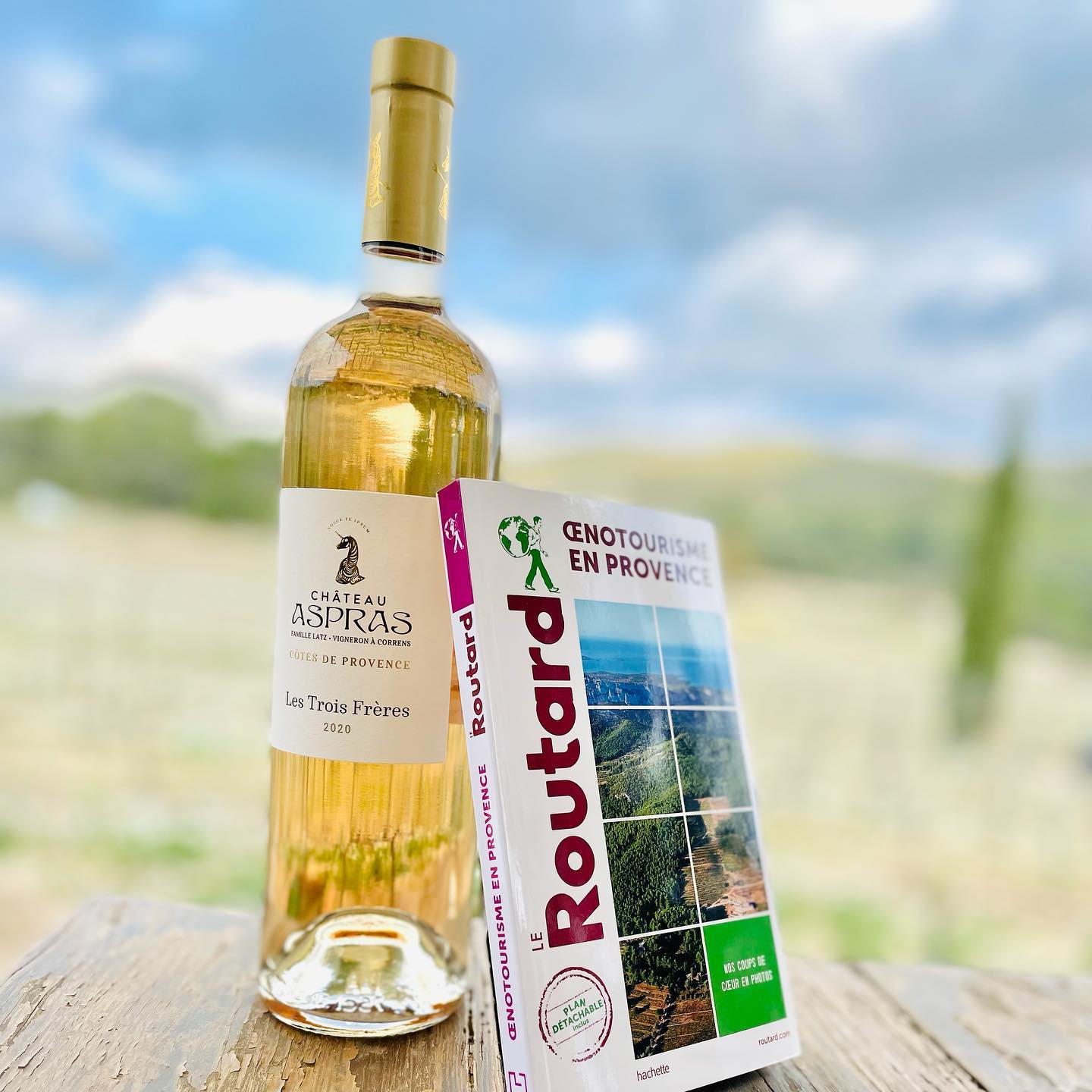 Guide du routard 2022 sur l'oenotourisme en Provence