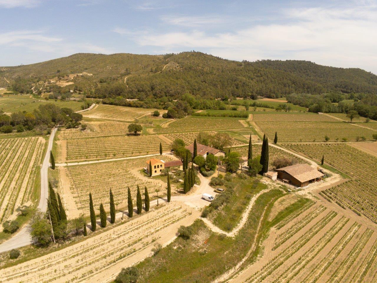 Vue aérienne des vignes des Aspras
