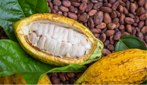 Manteca de cacao