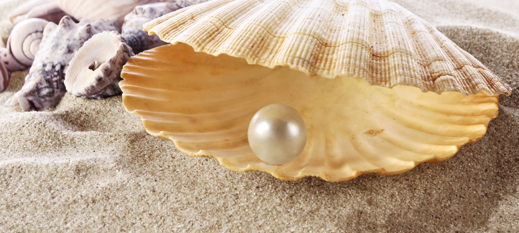 are pearls found in clams