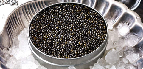 Caviar, italtouch, italtouch Caviar, Caviar Italtouch, Caviar dubai, Caviar at home, iranian caviar, Italian Caviar, Chineses Caviar, Caspian Sea, Caviar Kaluga Queen, Italtouch Caviar Exclusive hybrid, Caviar Ars - Italica Oscietra Classic,