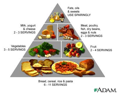 Have we got our food pyramid upside down? – Dr Cheryl Kam