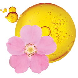 Rosehip Oil