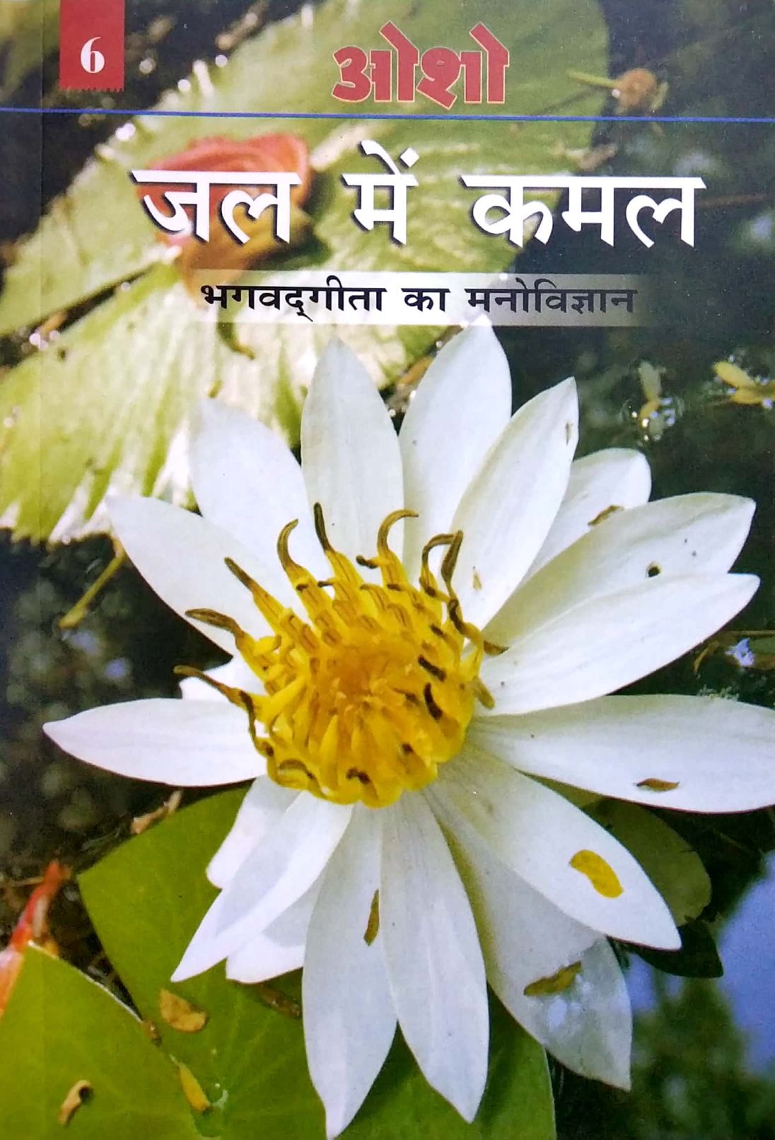 Jal me Kamal Bhagvadgeeta ka Manovigyan (Volume 6) [Hindi ...