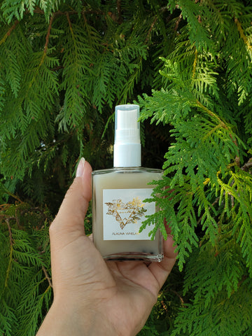 luxury crystal infused earth sign ritual mist in palm of hand with cedar boughs