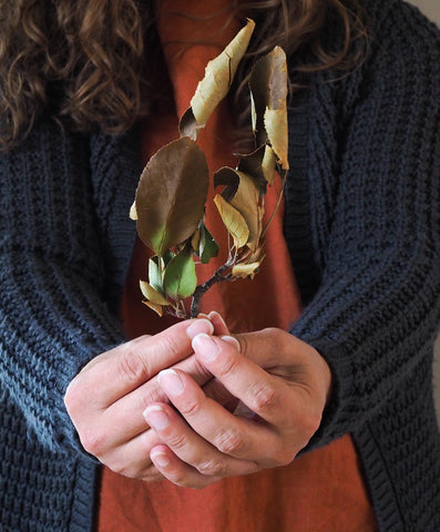 woman's hands holding fall foliage