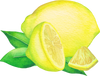 Lemon Essential Oil from Essentially Co