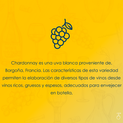 Chardonnay es una uva blanca proveniente de Borgoña, Francia. Las características de esta variedad permiten la elaboración de diversos tipos de vinos desde vinos ricos, gruesos y espesos, adecuados para envejecer en botella