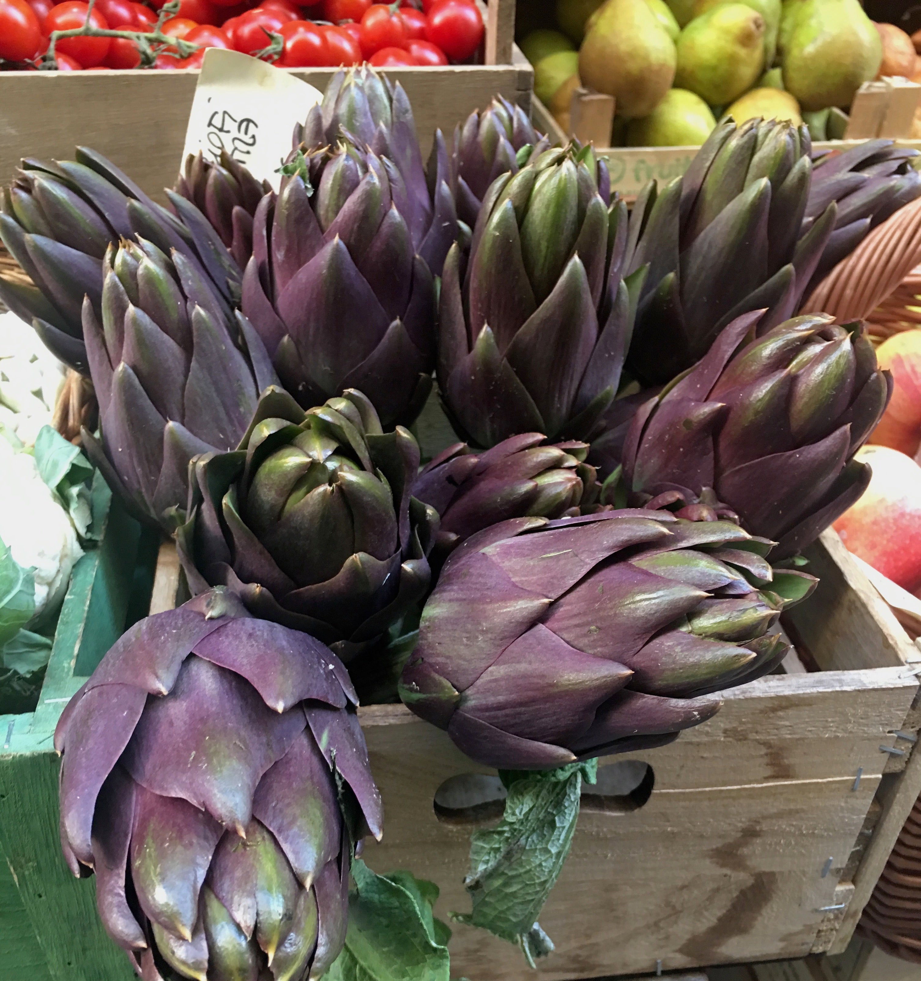 Purple Artichokes