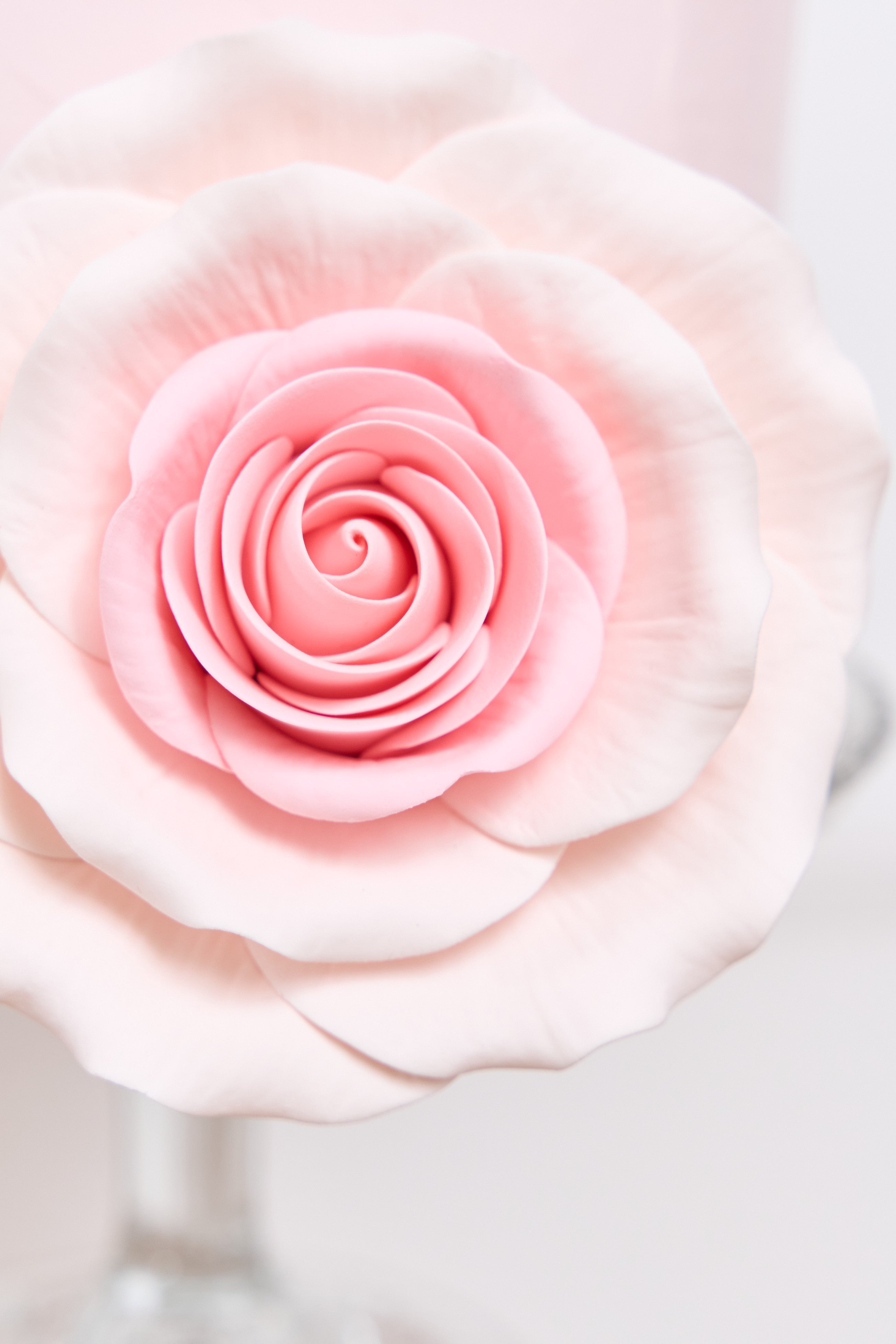 Detalle de flor de azúcar grande rosa pálido