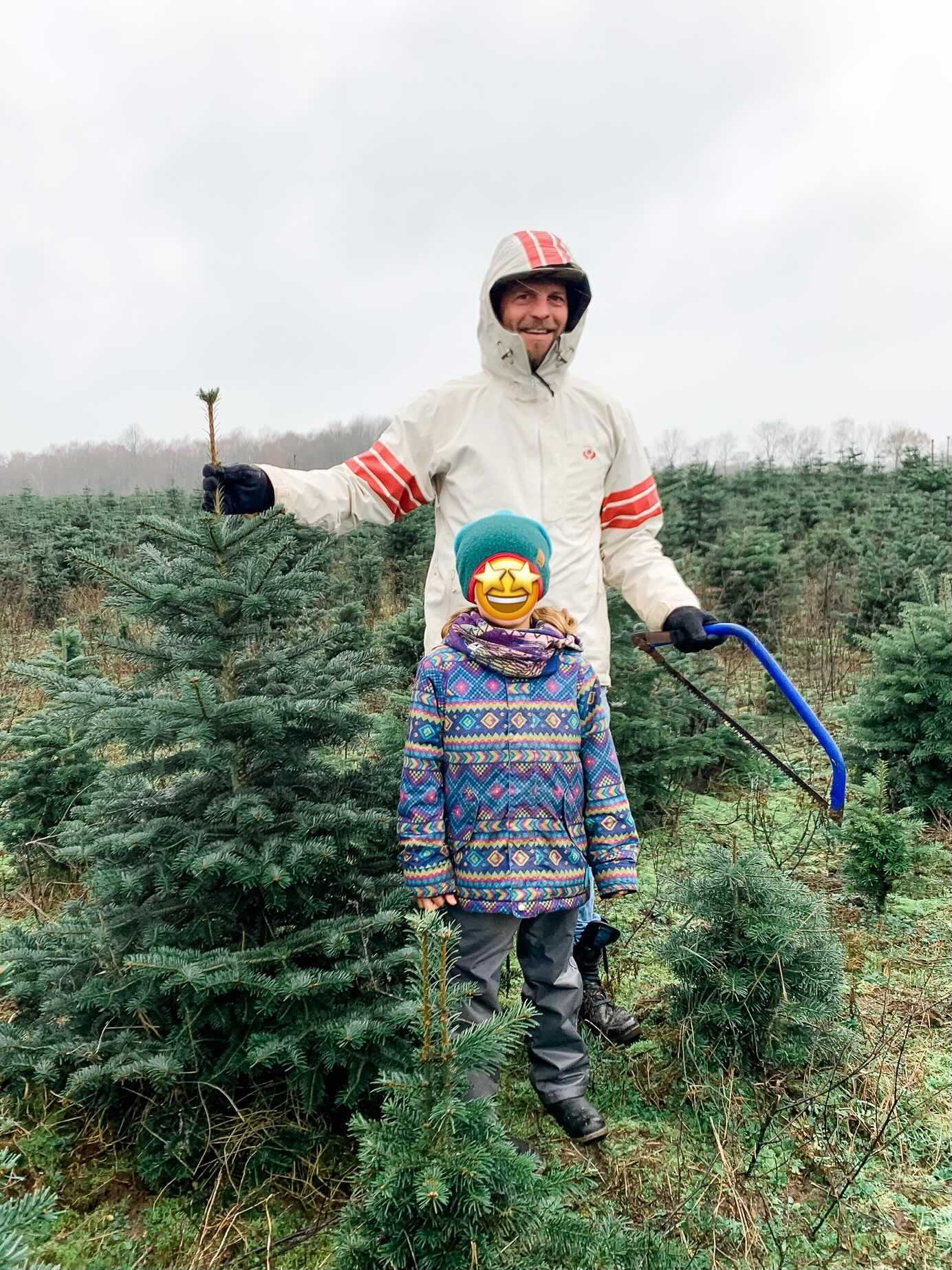 Unser Tannenbaum kommt vom Tannenhof Bornholdt