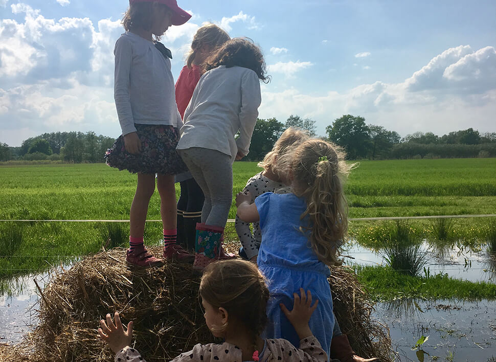 Kinder bei Kindergeburtstag auf dem Bauernhof