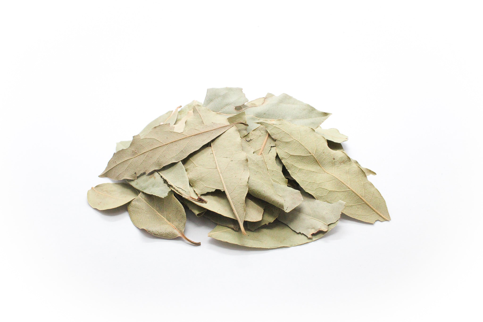 ベイリーフ ローリエ 月桂樹 Bay Leaves Pyram Organics Plants