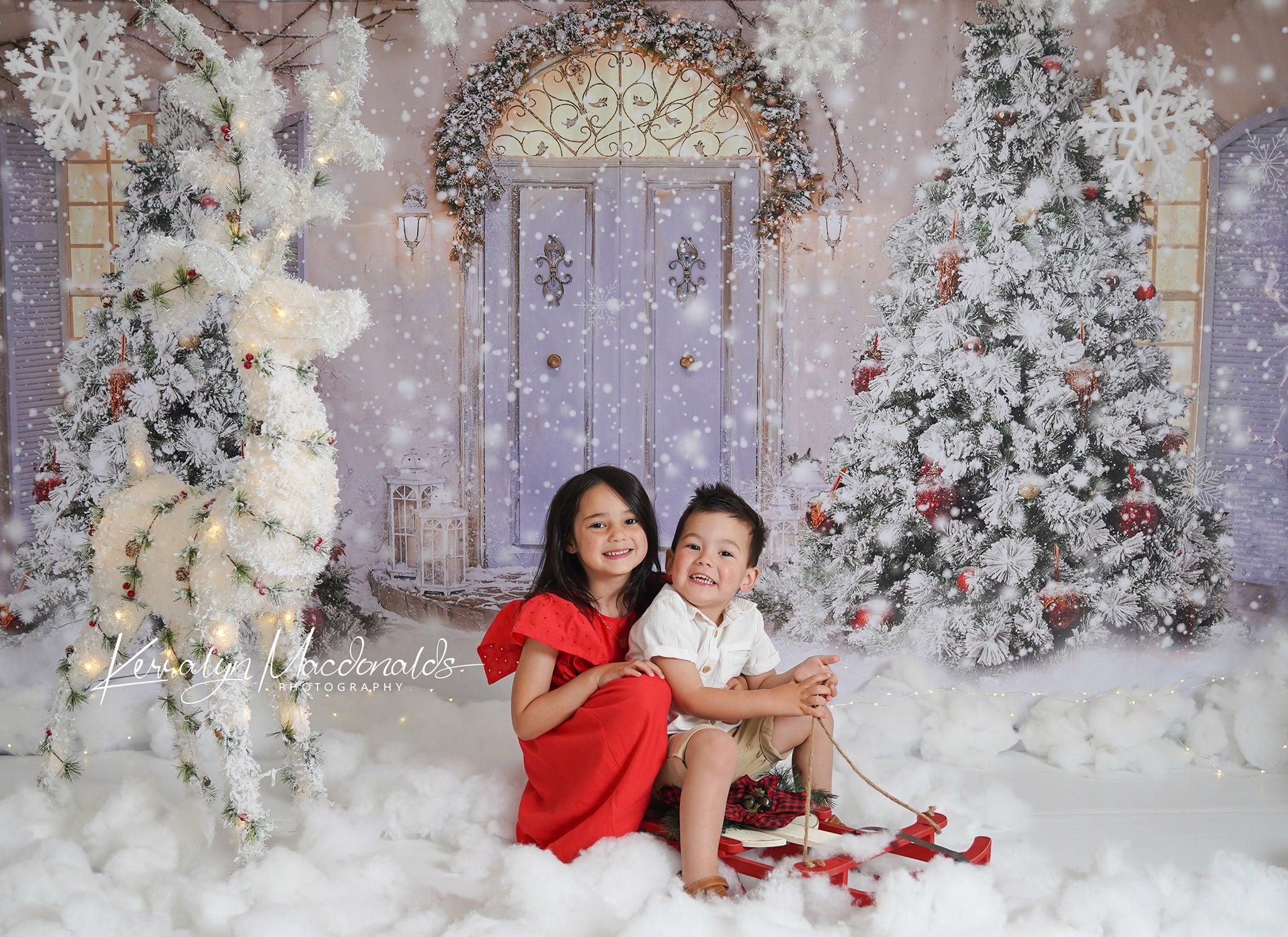 Kate Telón de fondo de nieve frontal de puerta de Navidad para fotogra –  Katebackdrop ES