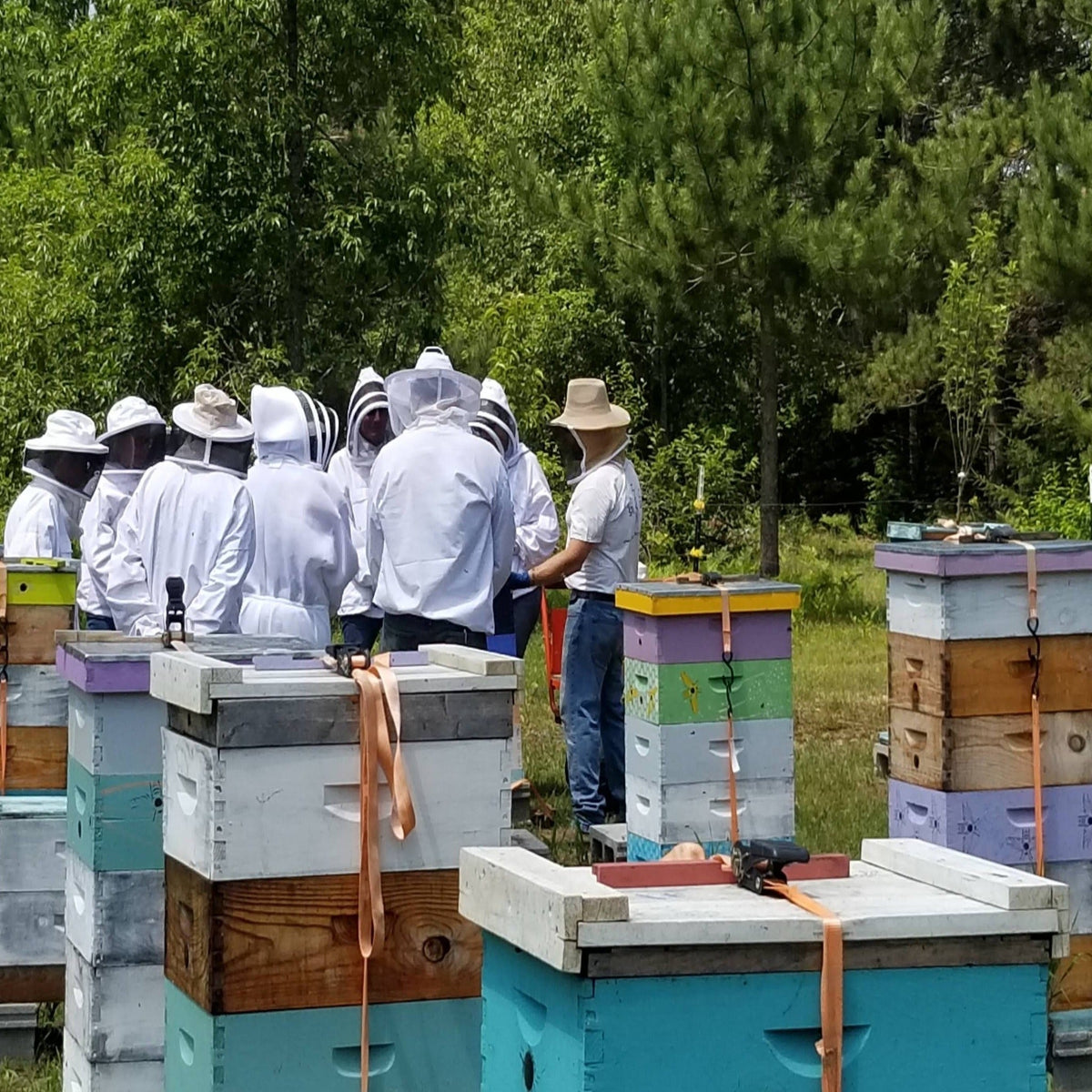 Bee Wise Farms, LLC