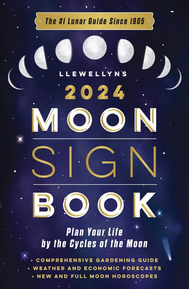 Many Moons 2024 Lunar Planner — Stay Woke Tarot