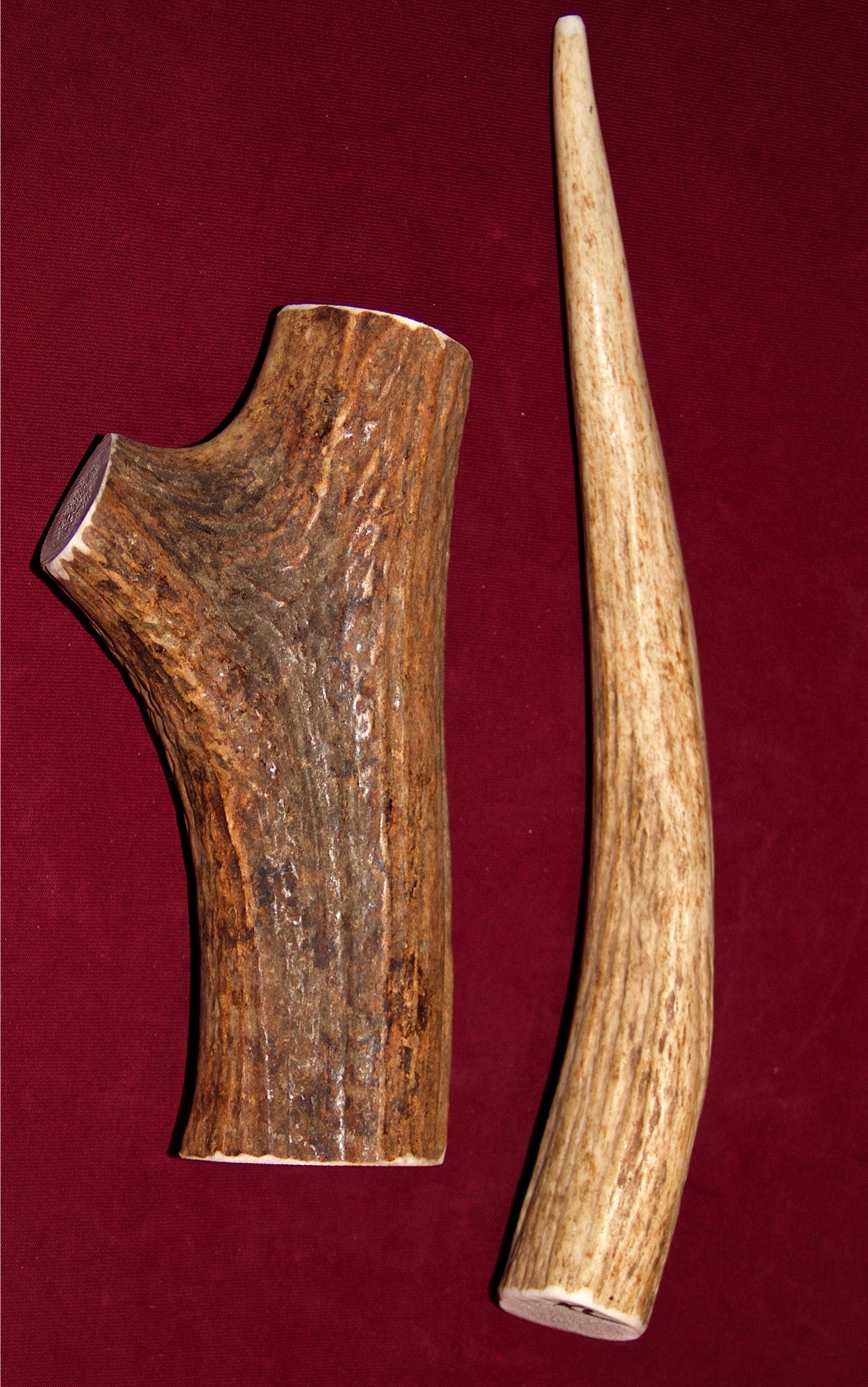 elk antlers for dogs