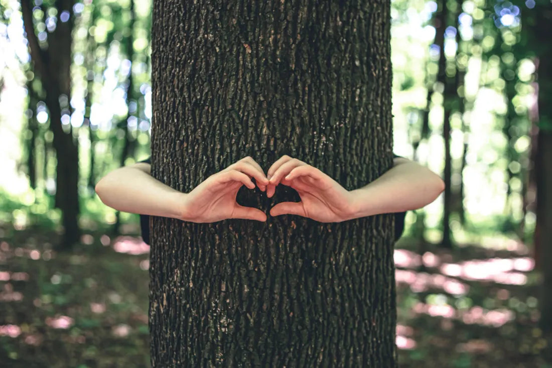 Frauenhände umarmen einen Baum und formen mit den Händen ein Herz.